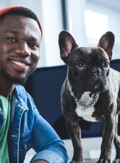 Young man with French bulldog by computer screen